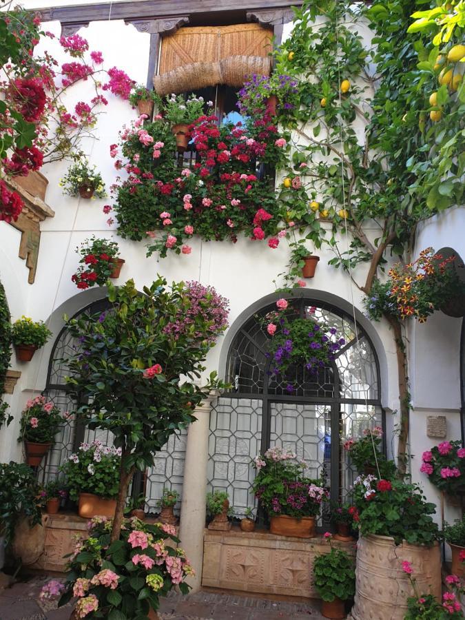 Apto. Planta Baja Y Cochera Barrio San Basilio Córdoba Buitenkant foto