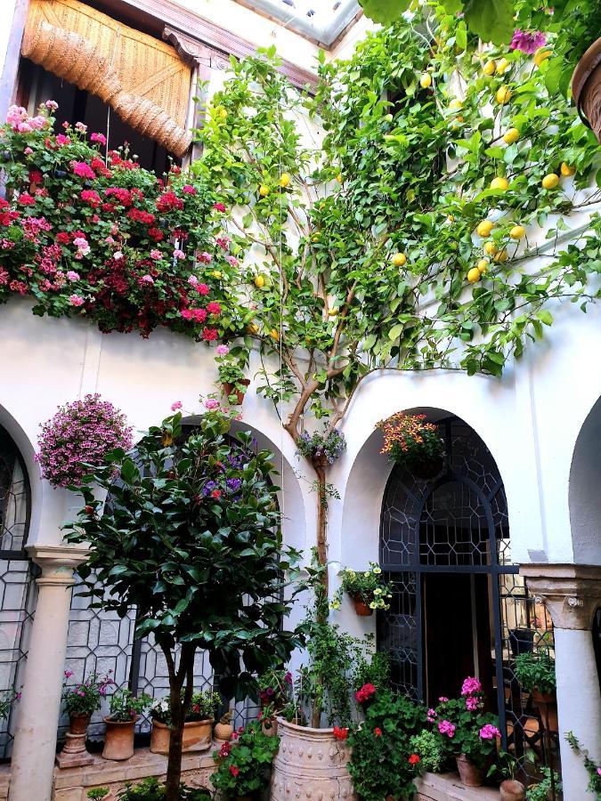 Apto. Planta Baja Y Cochera Barrio San Basilio Córdoba Buitenkant foto